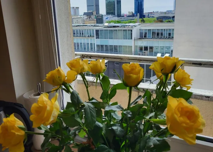 View Chmielna 公寓